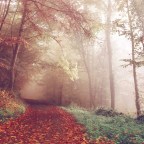 2017 Legal Tech Predictions